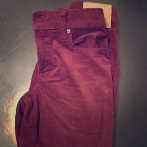 Maroon Corduroy Pants